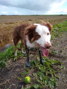 IMG_20191003_135758601_30dpi