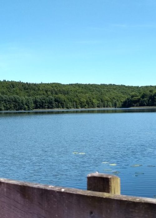 IMG_20200602_120123188_HDR_20dpi