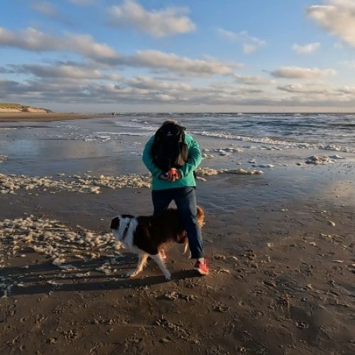 Texel 1jpg_1.1.1_20dpi